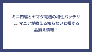 ミニ四駆とヤマダ電機の相性バッチリ🏎️ マニアが教える知らないと損する品揃え情報！