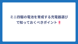 ミニ四駆の電池を育成する充電器選びで知っておくべきポイント‼️